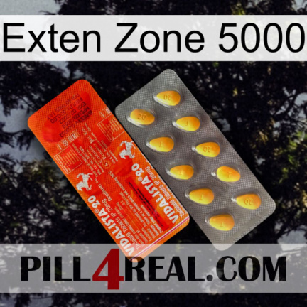 Exten Zone 5000 new01